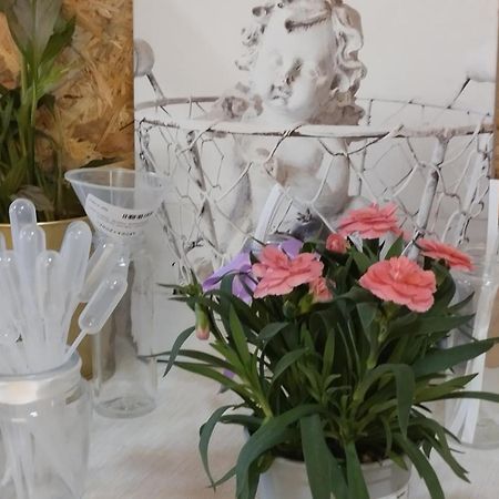 Le Laboratoire Shabby Chic De La Parfumerie Du Manoir Chavagne Eksteriør billede